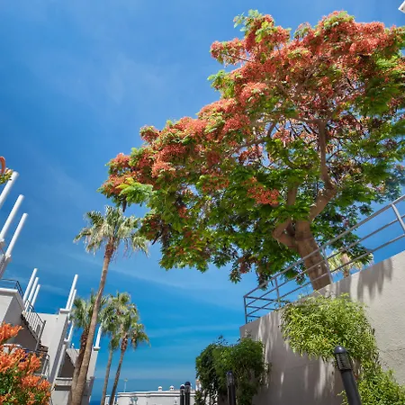 Olivos Отель